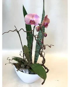 sku9193774