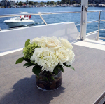 yacht 4 1