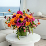 yacht 6 1