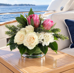 yacht 8 1