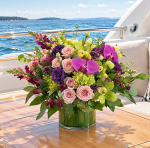 yacht 9 1