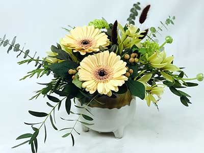 Administrative Professional Day