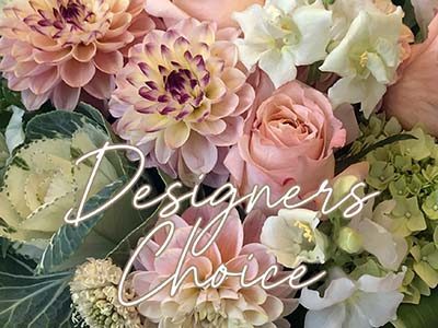 Designers Choice Arrangement