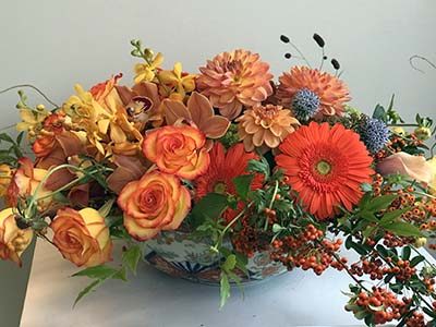 fall collection