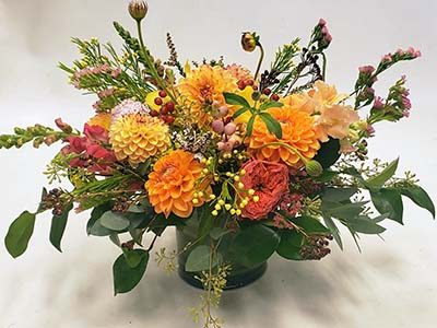 fall flowers Victoria